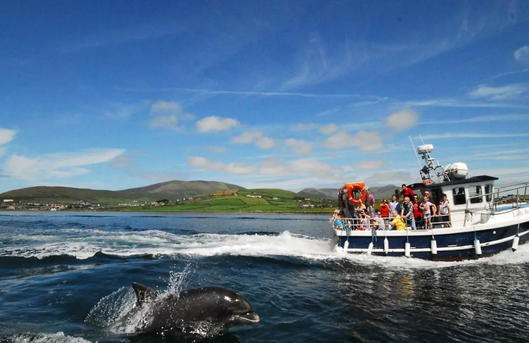 Dingle Bay View By Trident Holiday Homes-1