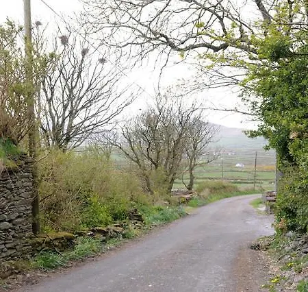 Griffins Holiday Cottage-2